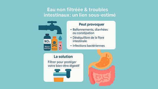 Eau non filtrée & troubles intestinaux : un lien sous-estimé