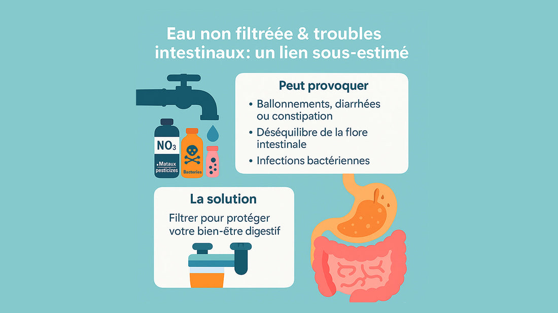 Eau non filtrée & troubles intestinaux : un lien sous-estimé
